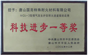 科技進步一等獎